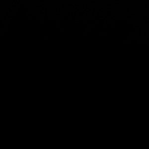 Meet your Posher, Virjinia